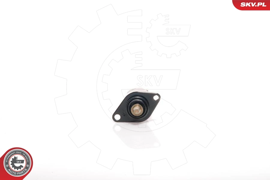Idle Control Valve, air supply